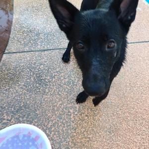 Meet your Posher, Jameson